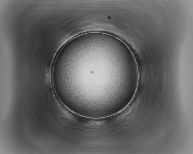 X0000108481513200904091427