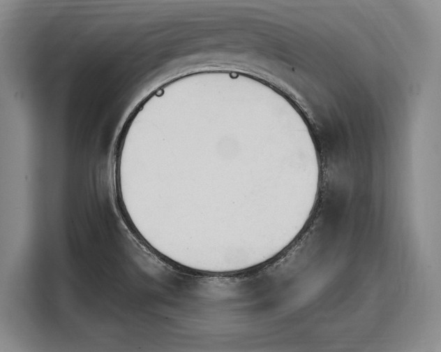 X0000108481514200904091427