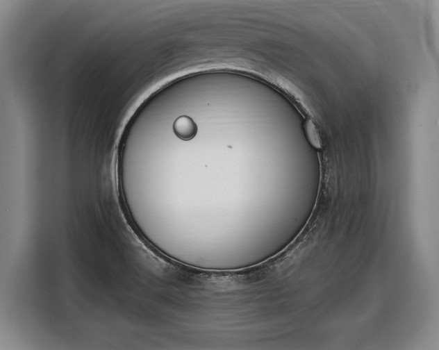 X0000108481516200904091427