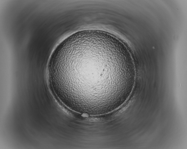 X0000108481517200904091427