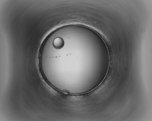 X0000108481518200904091427