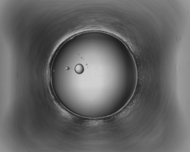 X0000108481519200904091427