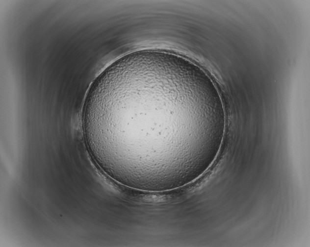 X0000108481521200904091427