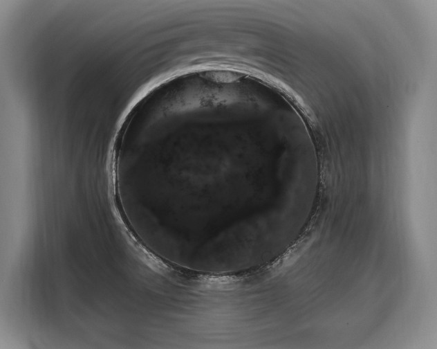 X0000108481522200904091427