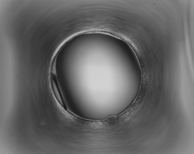 X0000108481524200904091427