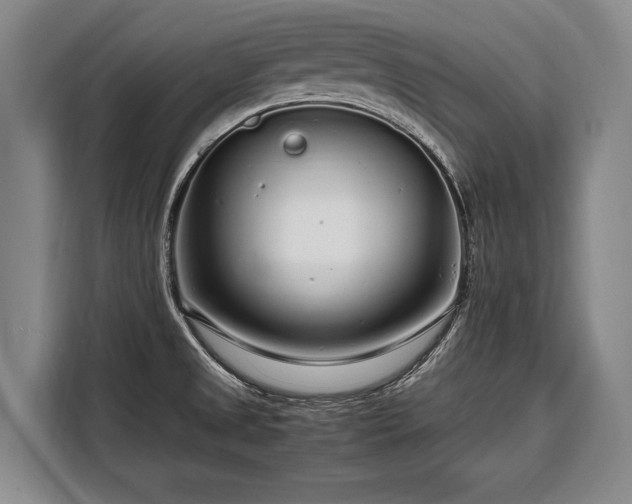 X0000108481525200904091427