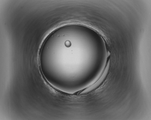 X0000108481527200904091427