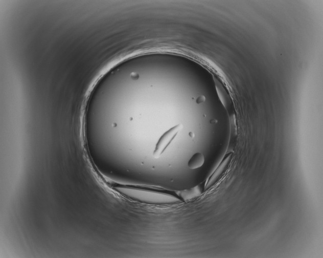 X0000108481528200904091427