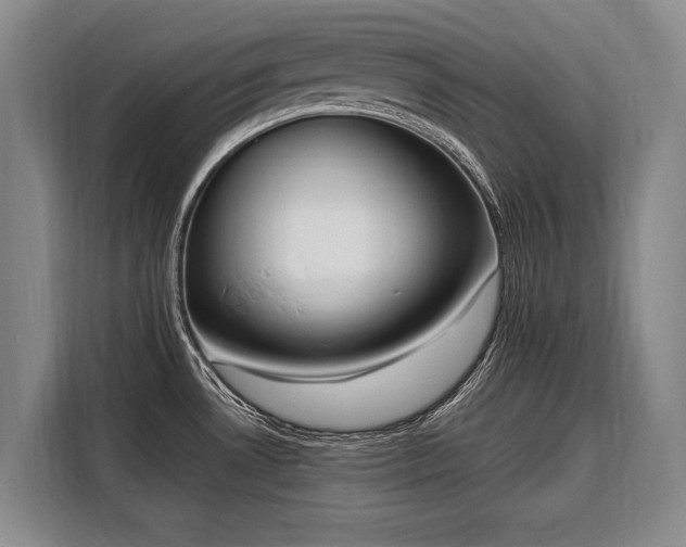 X0000108481530200904091427