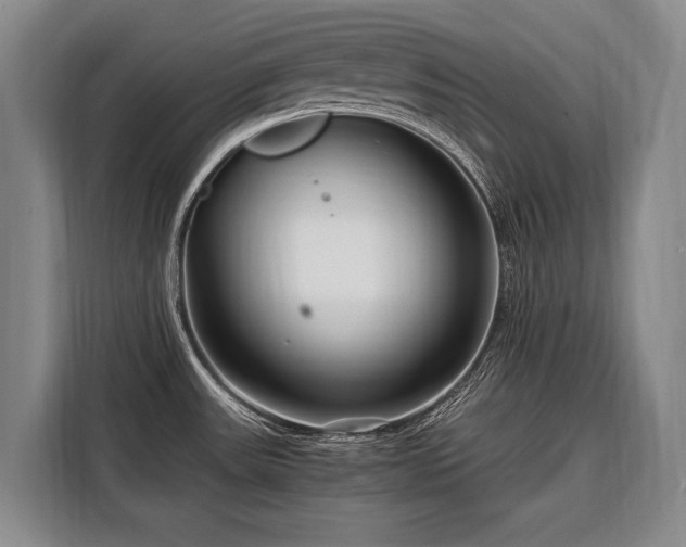 X0000108481531200904091427