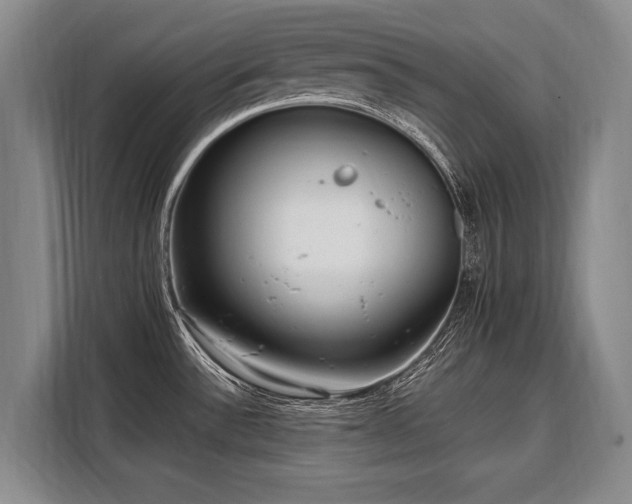 X0000108481532200904091427