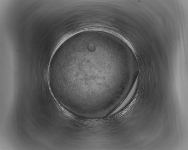 X0000108481533200904091427