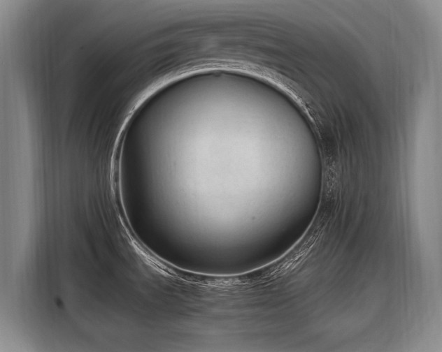 X0000108481535200904091427