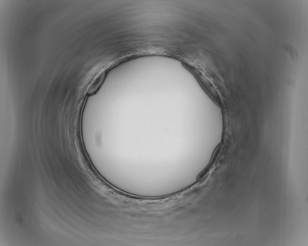 X0000108480001200904171621