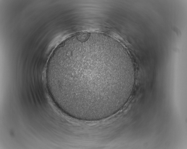 X0000108480002200904171621