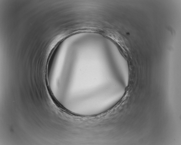 X0000108480003200904171621