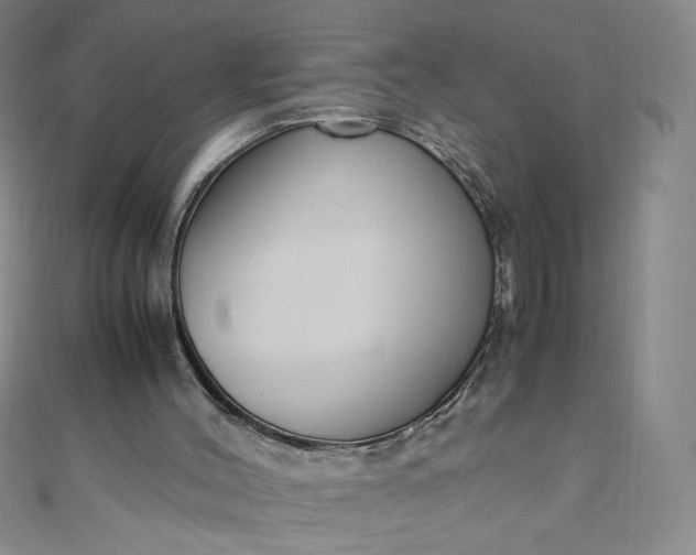 X0000108480004200904171621