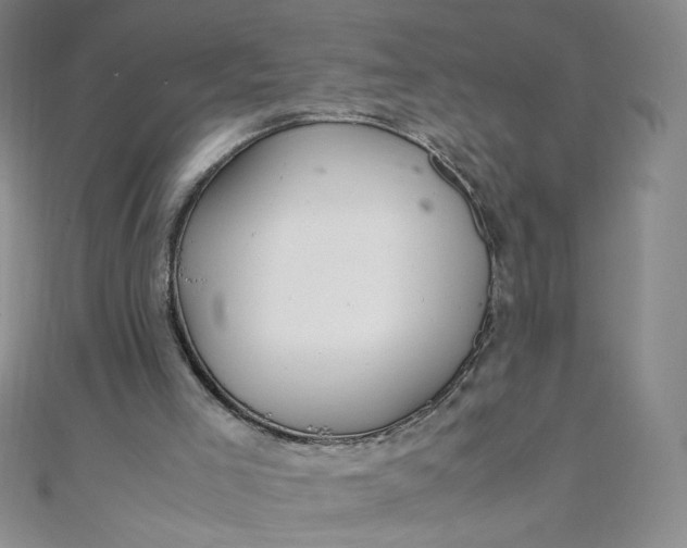 X0000108480005200904171621