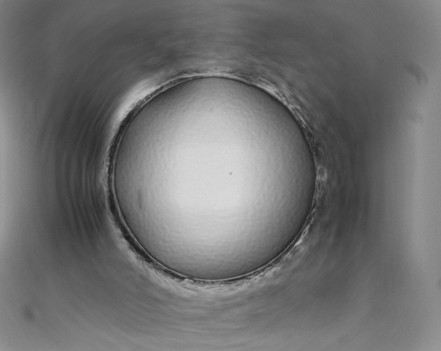 X0000108480006200904171621