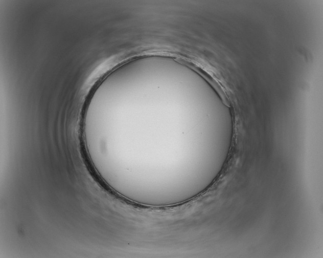 X0000108480007200904171621