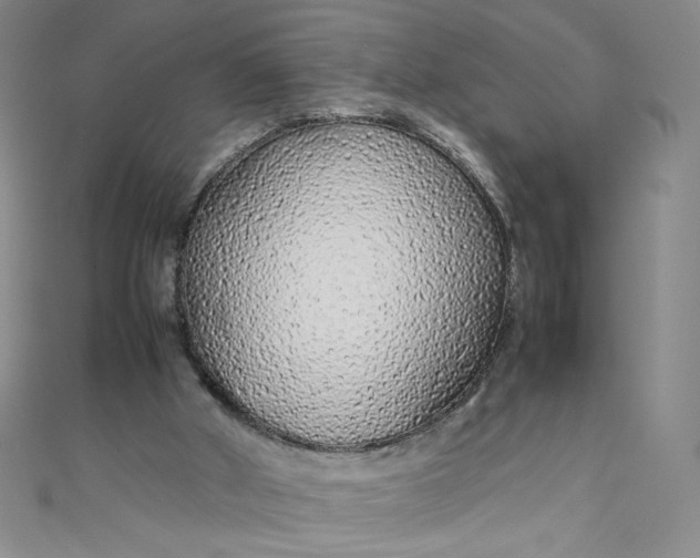 X0000108480010200904171621