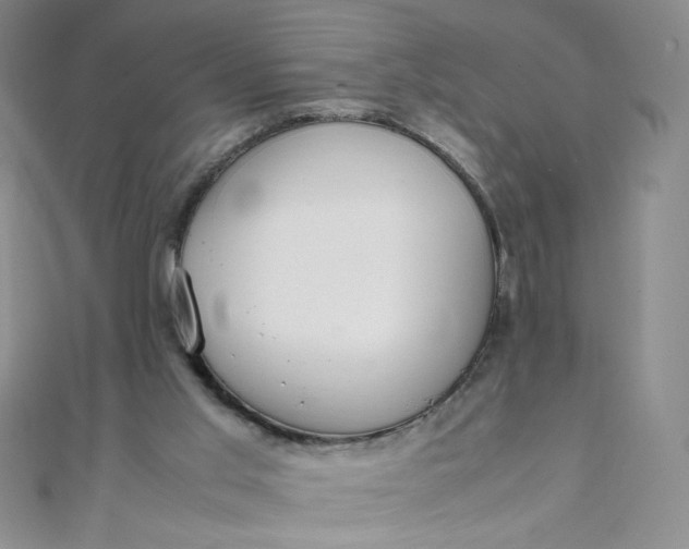 X0000108480013200904171621
