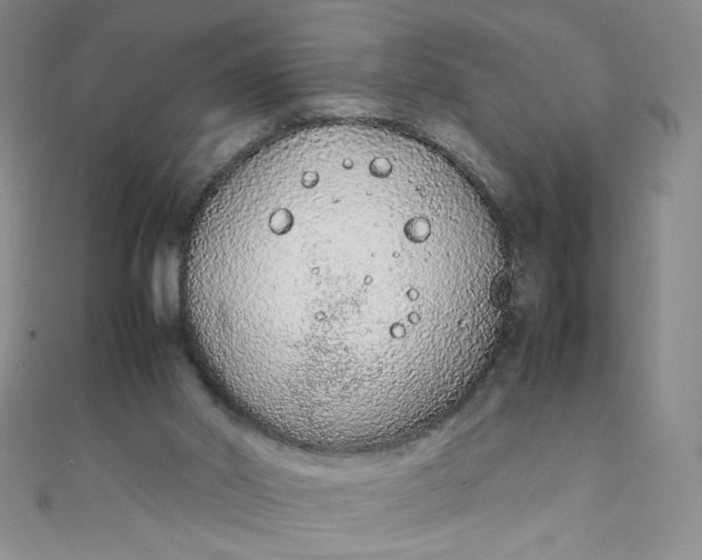 X0000108480014200904171621