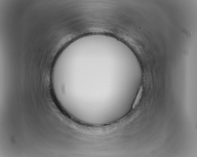 X0000108480015200904171621