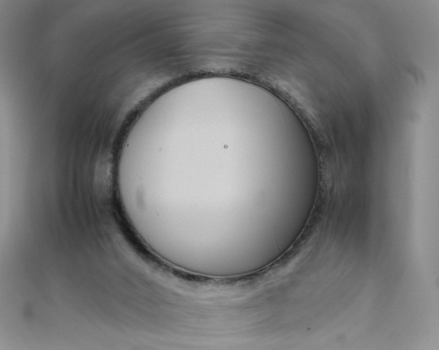 X0000108480016200904171621