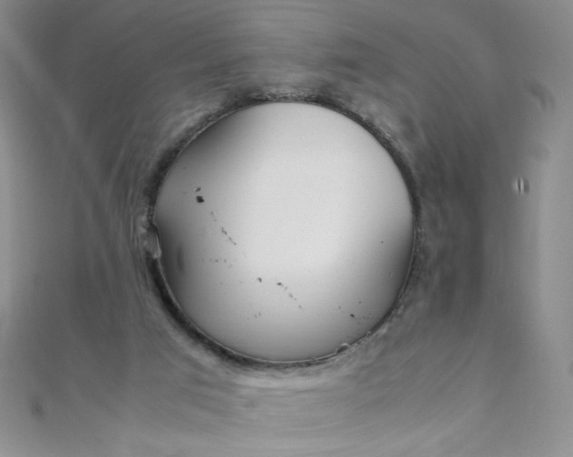 X0000108480017200904171621