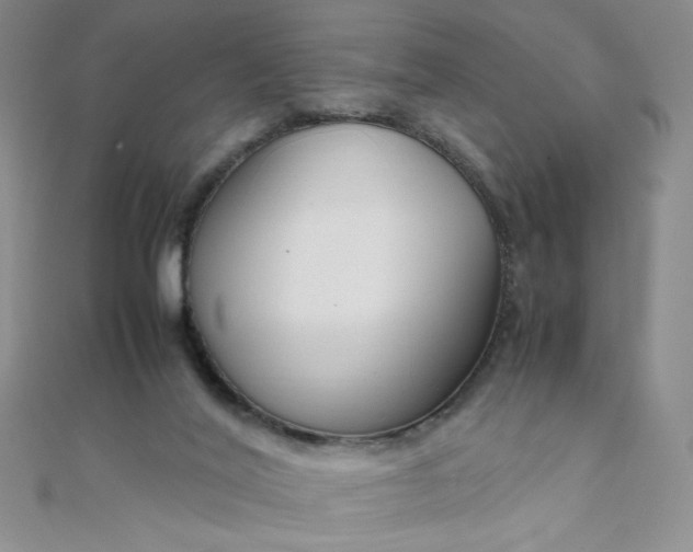 X0000108480020200904171621