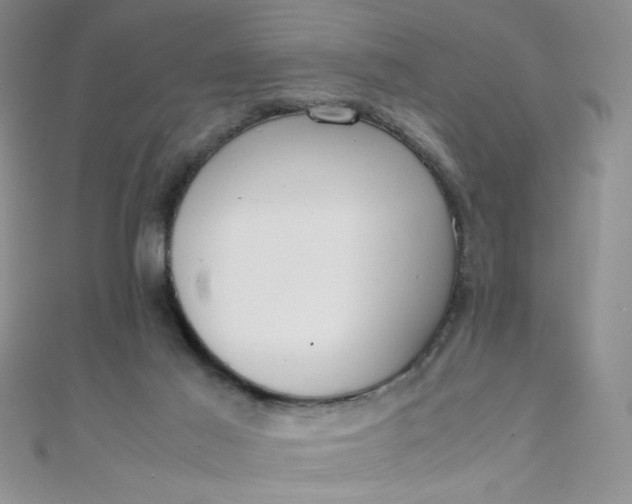 X0000108480021200904171621