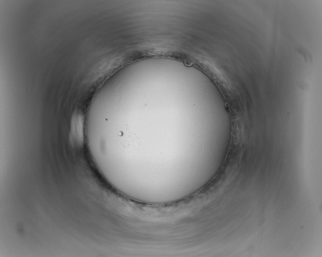 X0000108480022200904171621