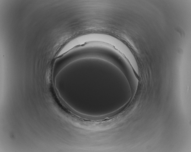 X0000108480023200904171621