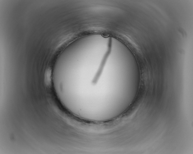 X0000108480024200904171621