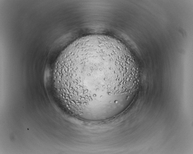 X0000108480026200904171621