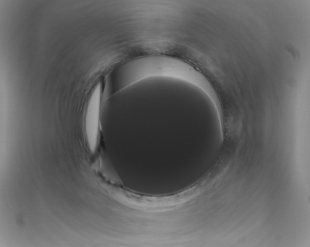 X0000108480027200904171621