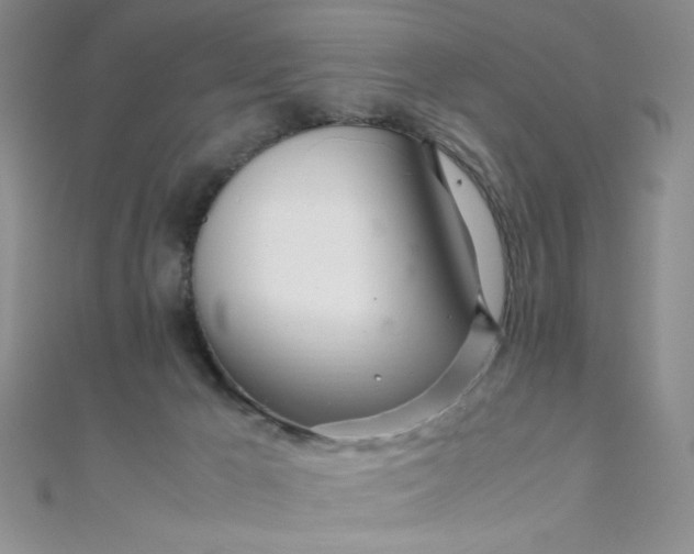 X0000108480029200904171621