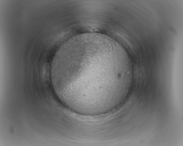 X0000108480030200904171621