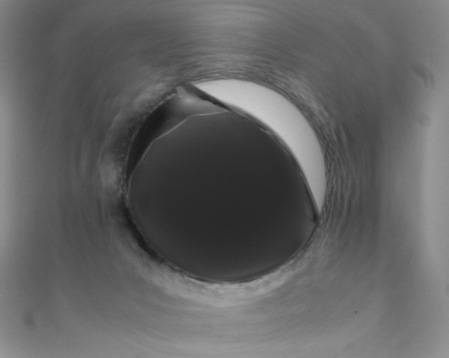 X0000108480031200904171621