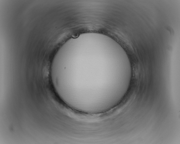 X0000108480032200904171621