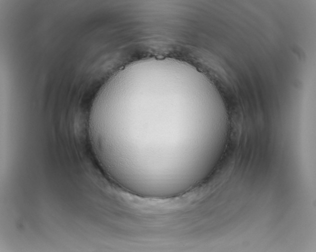 X0000108480034200904171621