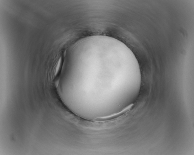 X0000108480037200904171620
