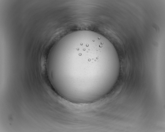X0000108480038200904171620