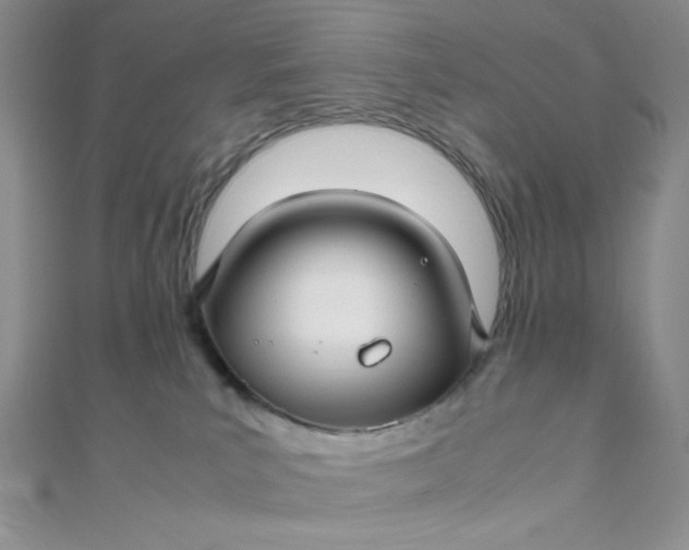 X0000108480039200904171620