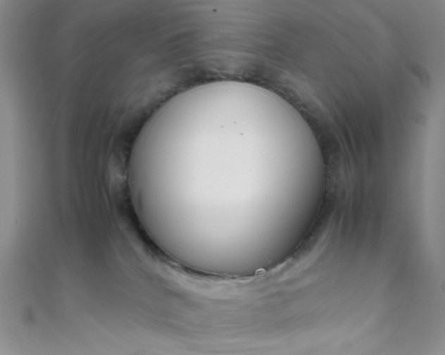 X0000108480040200904171620