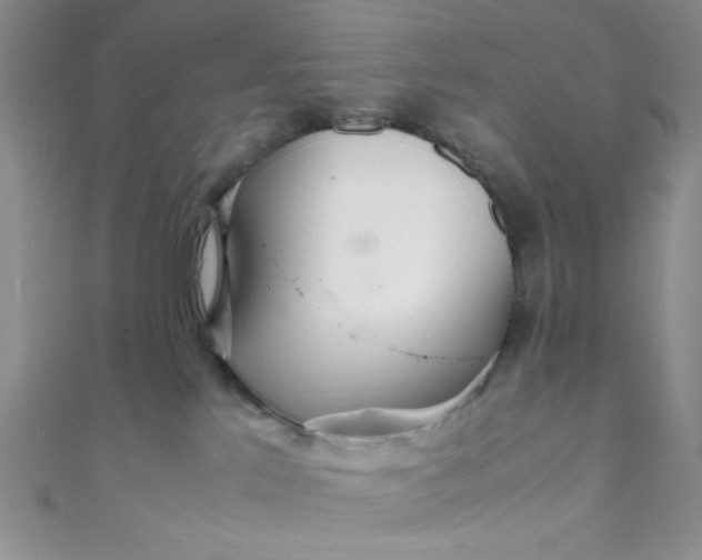 X0000108480041200904171620
