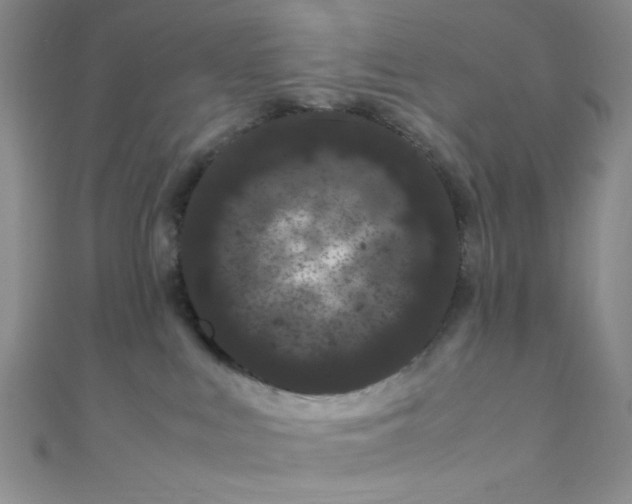 X0000108480043200904171620