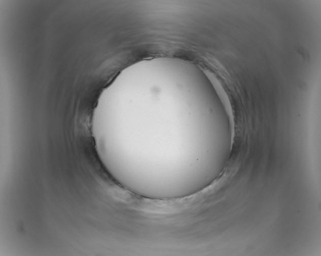 X0000108480045200904171620