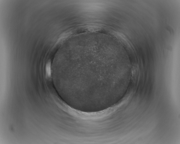 X0000108480046200904171620